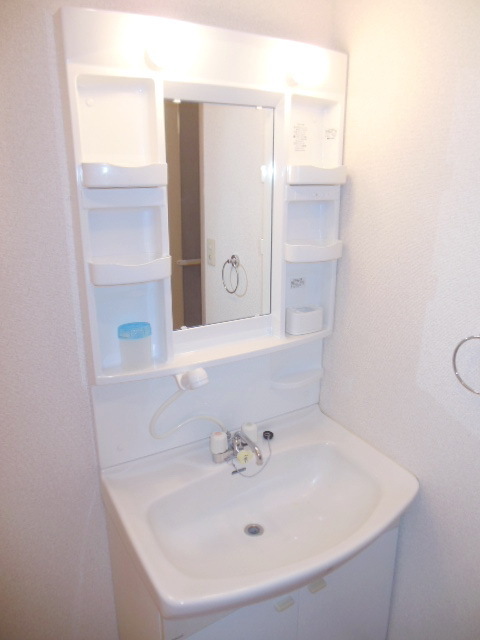 Washroom. With a convenient shampoo dresser in the morning of preparation