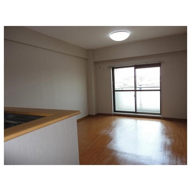 Living and room. Flooring