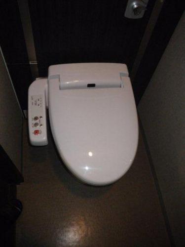 Toilet. Toilet