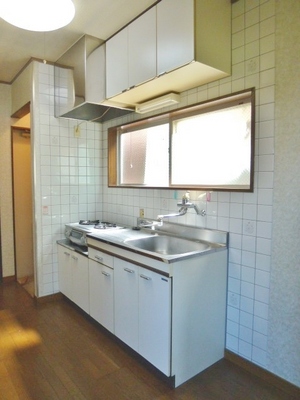 Kitchen. Stove is leaving product.