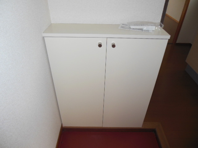 Entrance. Shoes BOX!