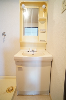 Entrance. Independent wash basin