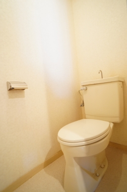 Toilet. Toilet