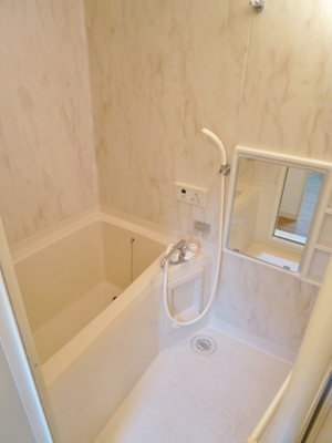 Bath. Spacious bathroom
