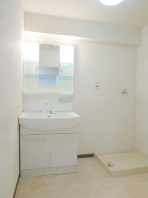 Washroom. Washbasin a shower!
