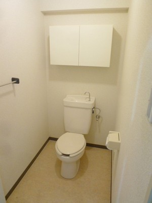 Toilet. There is a storage compartment at the top!