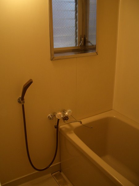 Bath. Photo No. 102 rooms