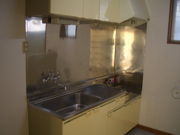 Kitchen. Photo No. 102 rooms