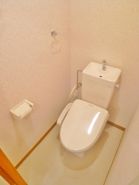 Toilet. It is with a cleaning toilet seat!