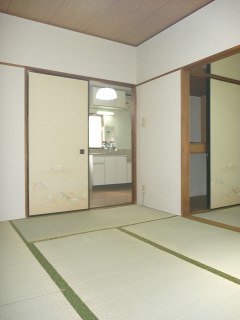 Living and room. Bright room.