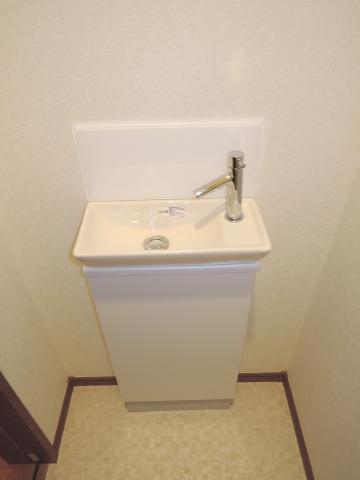 Other introspection. Hand wash park Yes