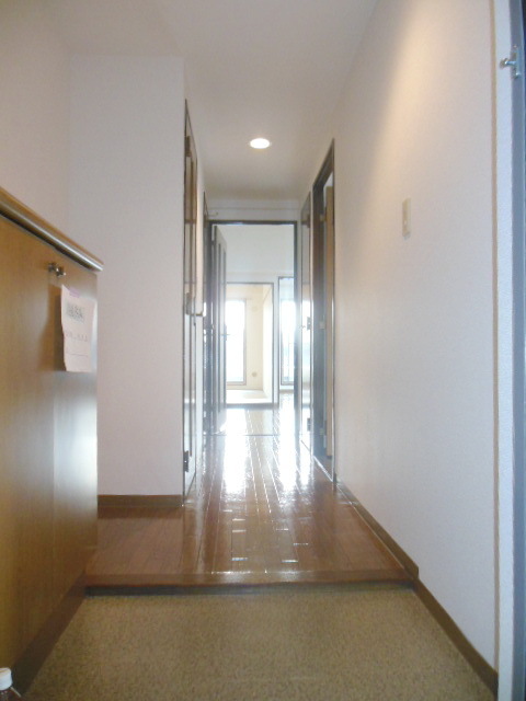 Entrance. Entrance space