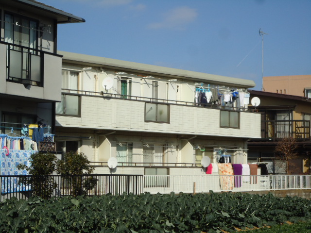 Building appearance