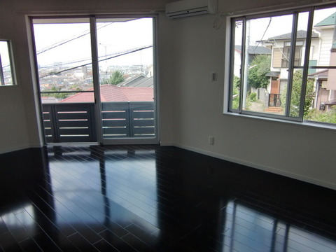 Living and room. Lighting a lot of LDK