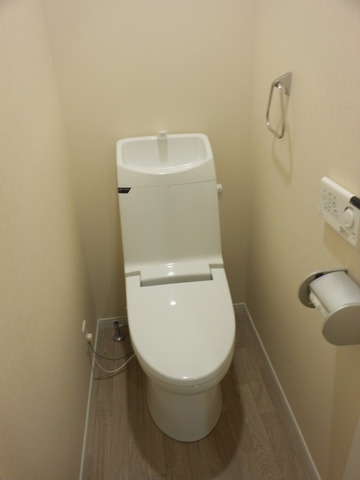 Toilet. Toilet