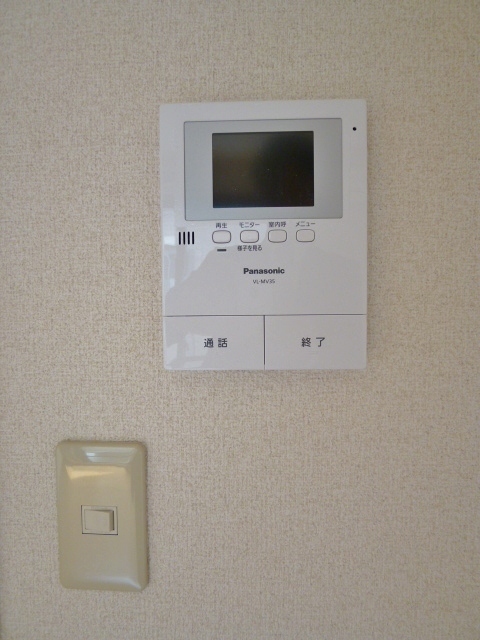 Security. TV Monitahon