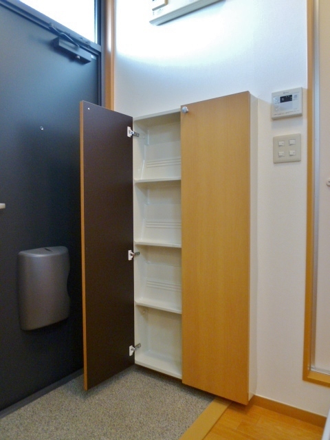 Entrance. Shoe rack