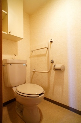 Toilet. Handrail & is with storage ☆
