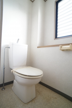 Toilet. Toilet