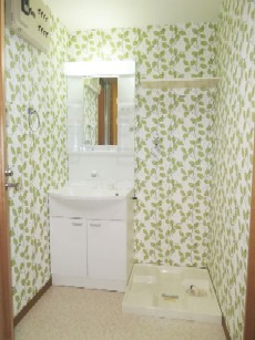 Washroom. Shampoo dresser