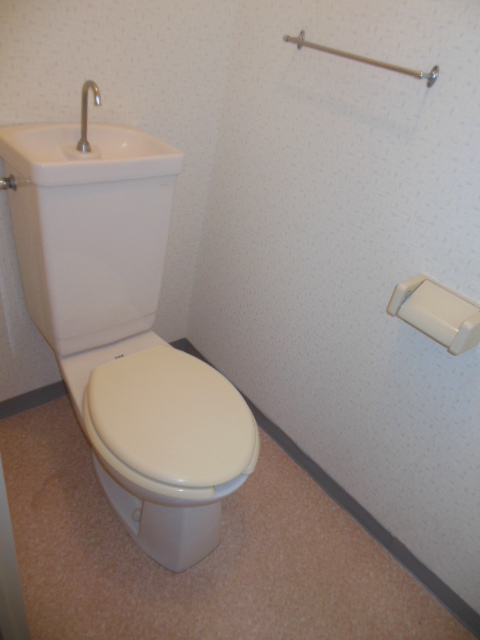 Toilet. Clean toilet (Separate photo)
