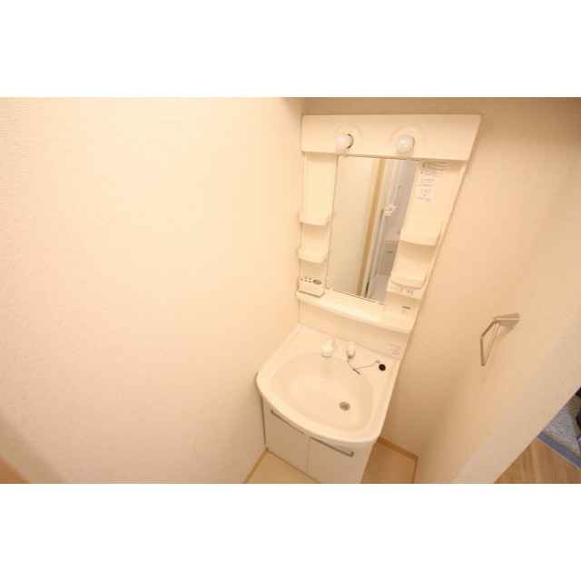 Washroom. Shampoo dresser top Tanayu