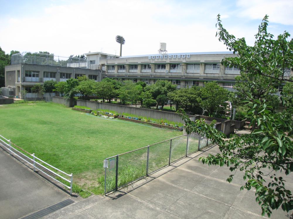 Primary school. Nishimaruko elementary school