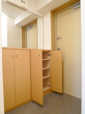 Entrance. The upper side of the shoebox has become the mirror. Outing before the check OK