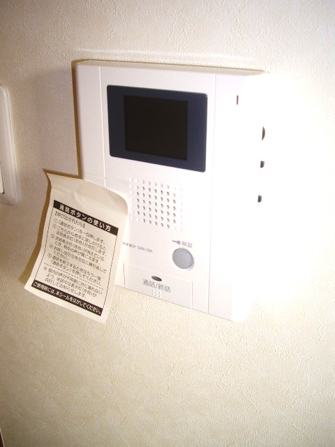 Security. TV monitor phone