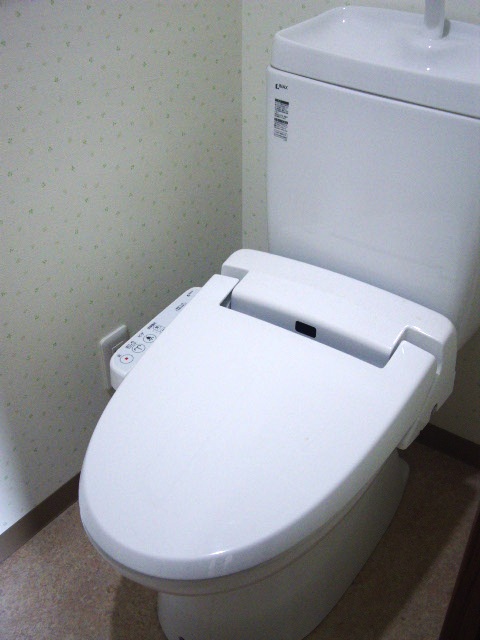 Toilet. Bidet