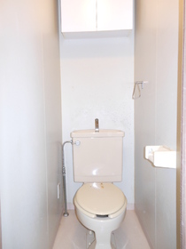 Toilet. There is the upper storage shelves