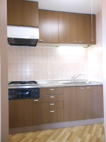 Kitchen. System kitchen (with a three-necked gas stove grill)