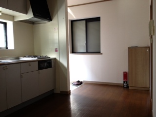 Living and room. Living