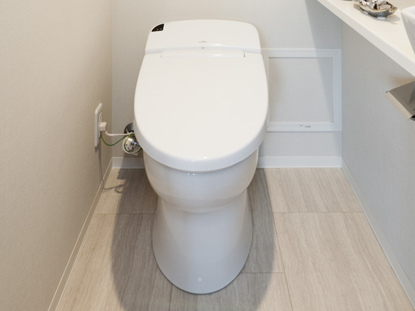 Other.  [Sanitary tankless toilet bowl in a multi-function] Equipped with a fully automatic toilet bowl cleaning, such as a variety of clean function. Toilet space and clean with low silhouette.