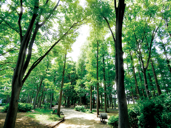 Surrounding environment. Todoroki green space (a 9-minute walk / About 710m)
