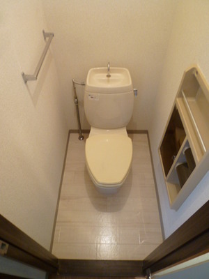 Toilet. It comes with a housed in the transverse.