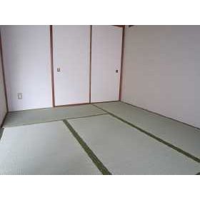 Other room space. Japanese style room