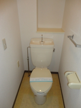 Toilet. Toilet