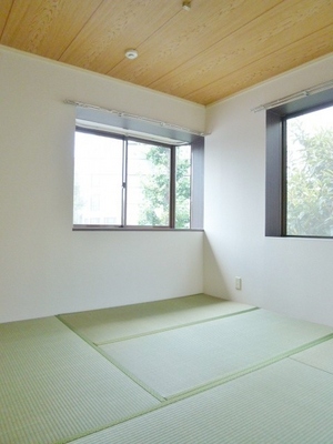 Living and room. Two-sided lighting Japanese-style room