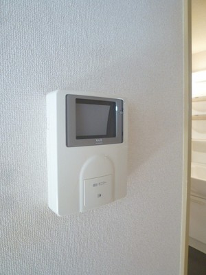 Security. TV Monitahon