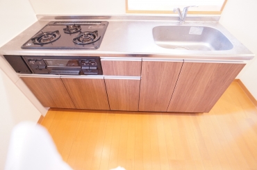Kitchen. System kitchen