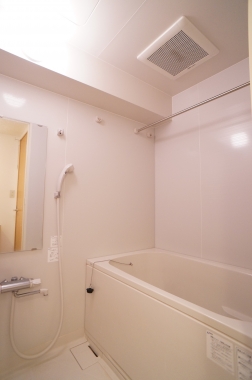 Bath. Bathroom