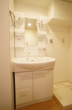 Washroom. Independent wash basin