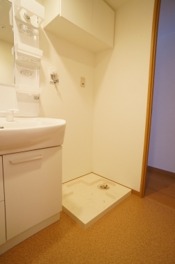 Washroom. Washing machine in the room