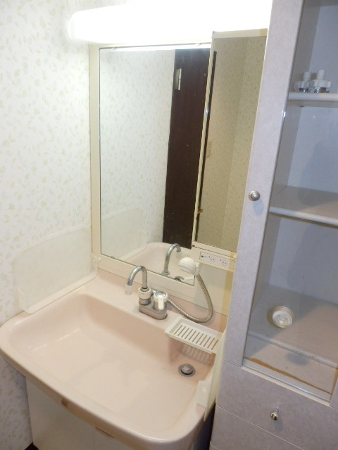 Washroom. Wash basin with a large mirror