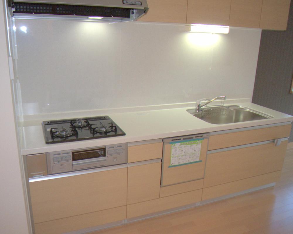 Kitchen. Indoor (11 May 2013) Shooting