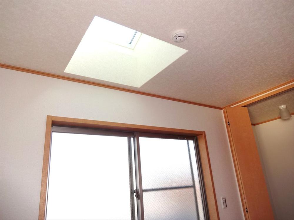 Other introspection. With skylight!