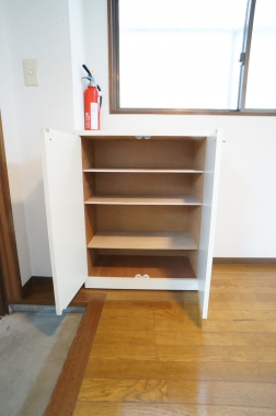 Entrance. Shoe box