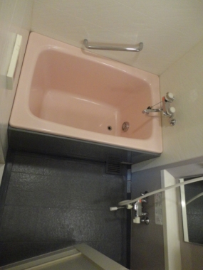 Bath. Bathroom