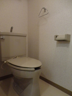 Toilet. Toilet